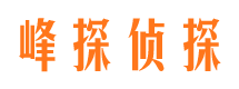 潘集市调查公司